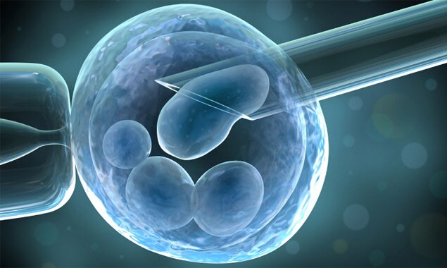 Опытно-производственный участок «Клеточные и вспомогательные репродуктивные технологии»